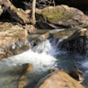 Meet your Posher, Samuel